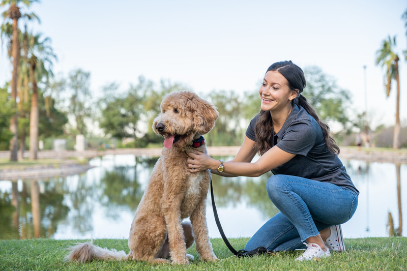 How to use a training outlet collar