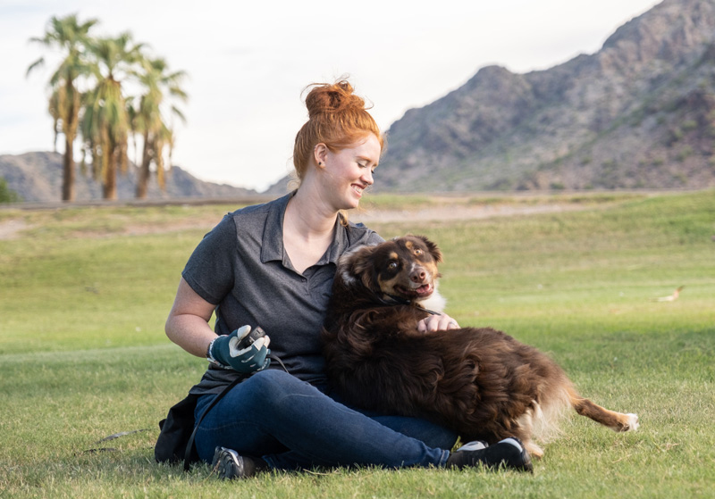 Dog Obedience Training | Board and Train | Private Dog Trainers