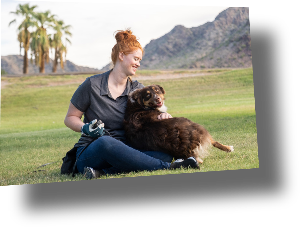Professional Dog Trainers Phoenix AZ