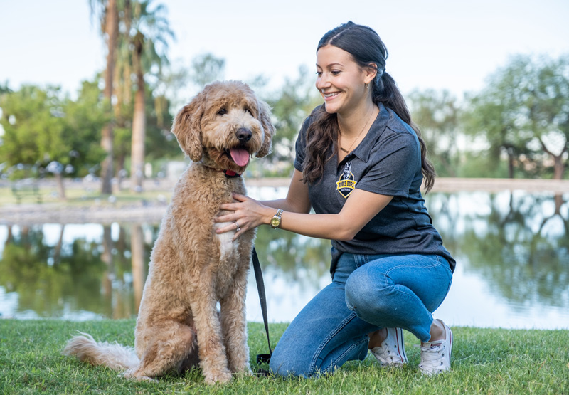 Dog Training Classes and Obedience Training Phoenix AZ