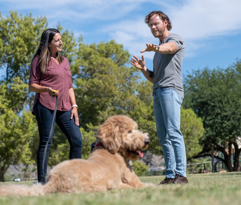 private-lessons Private Dog Training Phoenix AZ