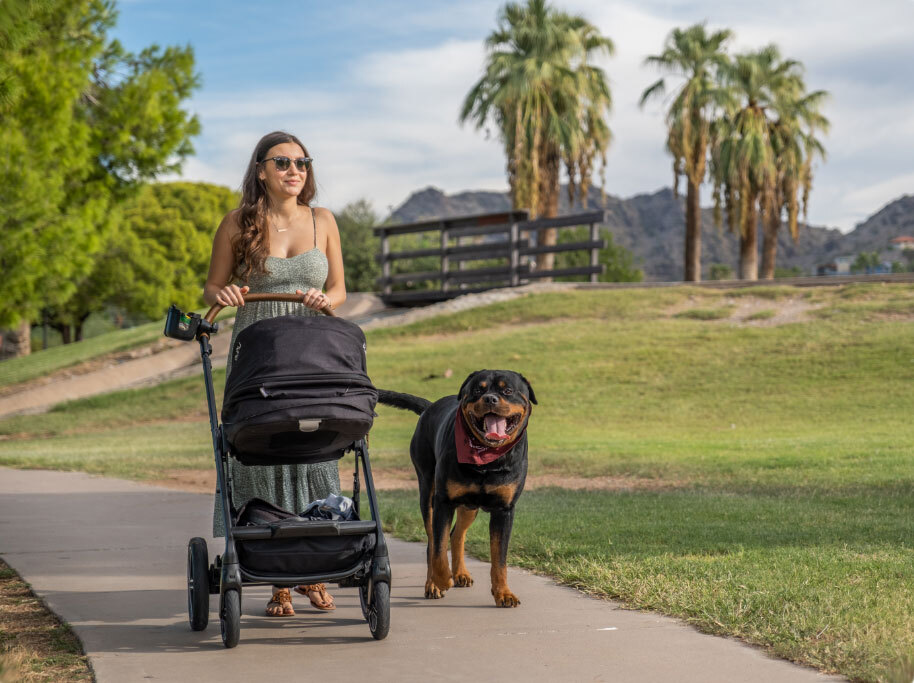 RobsDogs-stroller_mom_rottweiler