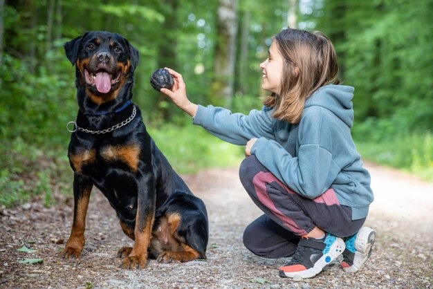 imgi_342_little-girl-plays-with-balltoy-with-her-dog-rottweiler-breed-path-forest_212944-26747