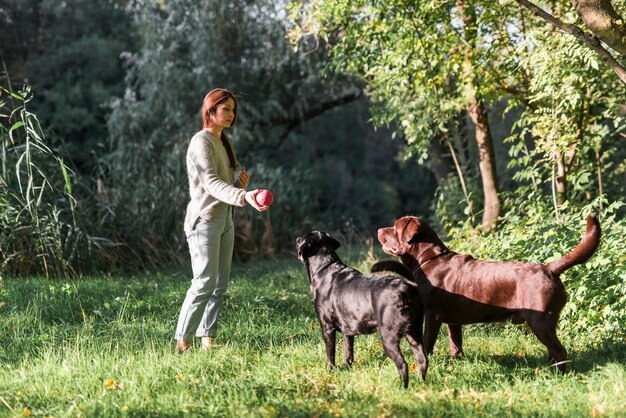 imgi_371_woman-her-two-labradors-playing-with-ball-grass-park_23-2148045793