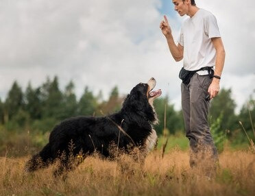 imgi_458_man-training-dog-grassy-land-against-cloudy-sky_1048944-22881010