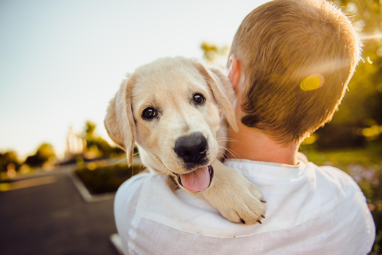 family dog