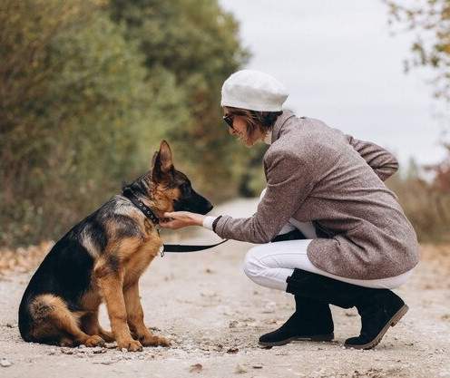 training german shepherd